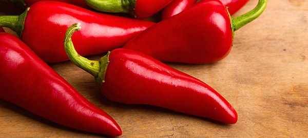 Stress and obese: chili pepper as treatment