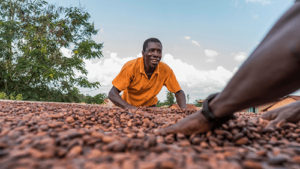 Swiss cocoa trade commits to sustainable cocoa