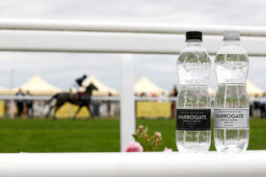 Water specialist seals partnership with Ascot
