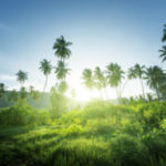 Mondelēz International units science-based goals to scale back emissions and create sustainable long...