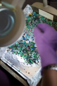 Veolia launches new plastic recycling record